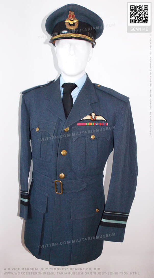 Air Vice Marshal Guy 