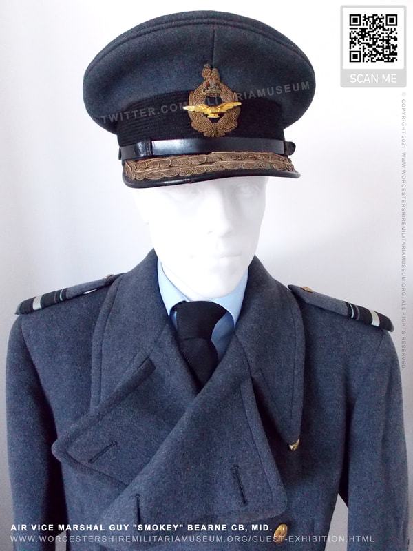 Air Vice Marshal Guy 