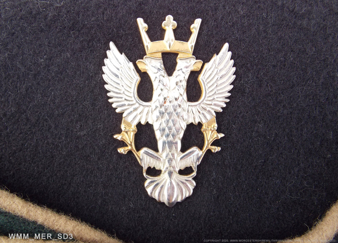 Mercian Regiment Officer's pattern badge.