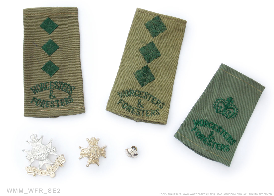 Notts & Derby /  Worcesters and Foresters insignia